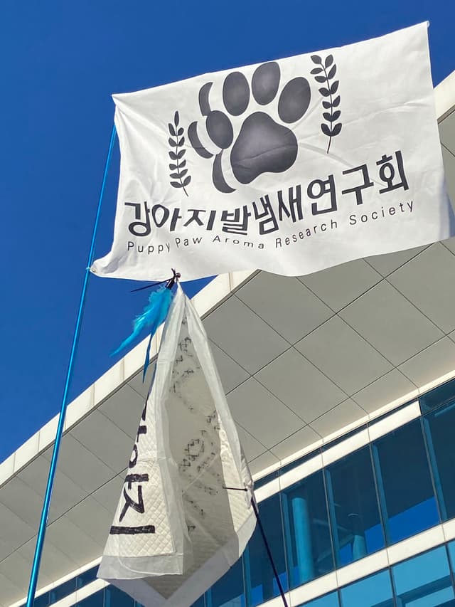 강아지발냄새연구회