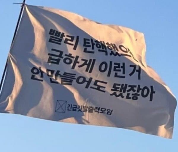 빨리 탄핵했으면 급하게 이런 거 안 만들어도 됐잖아 긴급깃발출력모임