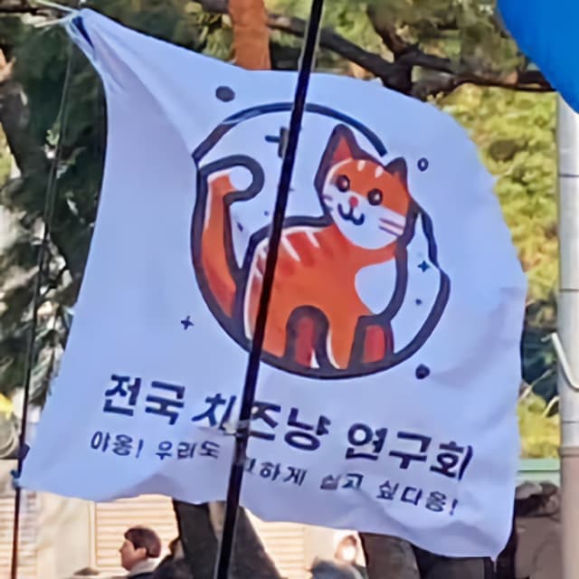 전국 치즈냥 연구회